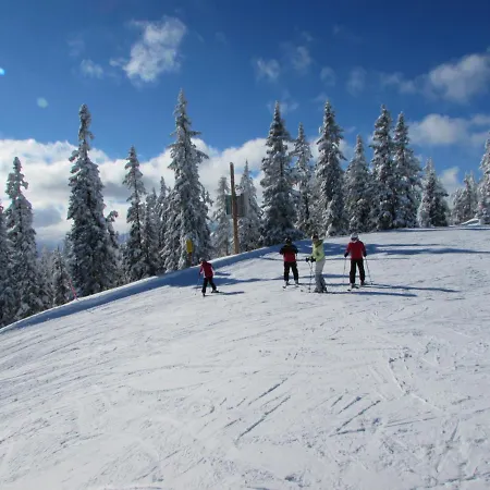 Gaestehaus Puerstl-kocher 3* Schladming