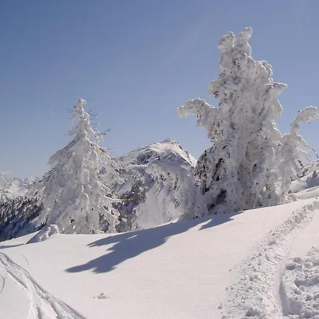 Gaestehaus Puerstl-kocher Oda ve Kahvaltı Schladming