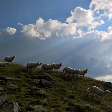 Gaestehaus Puerstl-kocher Bed & Breakfast Schladming