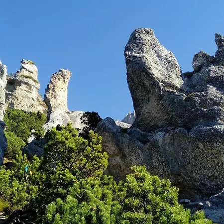 Отель типа 
