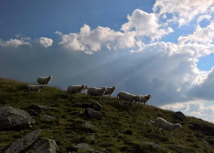 Gaestehaus Puerstl-kocher Couette-café Schladming